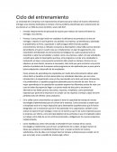 Ciclo del entrenamiento