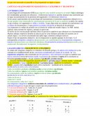 CAPÍTULO 4 RAZONAMIENTO SILOGÍSTICO: CATEGÓRICO Y TRANSITIVO