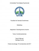 Articulo de marketing. Las gasolineras “Primax”