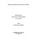 Seguridad de alto riesgo