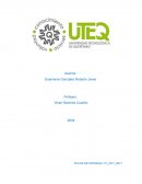 MODULO DE PANELES SOLARES BIFACIALES CON REFLECTOR POSTERIOR.