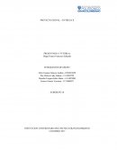 Proceso estrategico 2 IDENTIFICACION Y CARACTERISTICAS DE LA EMPRESA