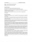 Psicología de la Comunicación OPA de Gordon Geko sobre la empresa