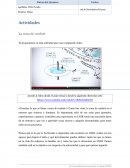 Actividades La zona de confort