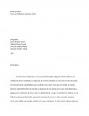 PARTY KIDS Servicios Infantiles Integrados Ltda