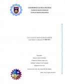 CÁLCULOS DE ADAPTACIÓN DE MOTOR ELÉCTRICO A MOLINO CORONA