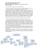 Organización de los recursos humanos en la empresa “Nudel” S.L.