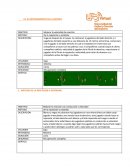 EL ENTRENAMIENTO DE LA RAPIDEZ