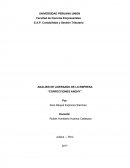 ANALISIS DE LIDERAZGO DE LA EMPRESA