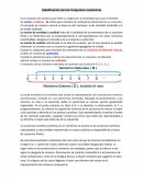 Clasificacion de los conjuntos numericos