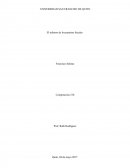 El infierno de los paraísos fiscales