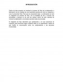 Proyecto -Producción