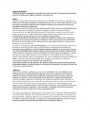 Un poco de historia...