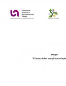 El futuro de los energeticos en la globalización