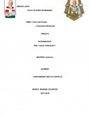 Teoría del Enlace y Geometría Molecular