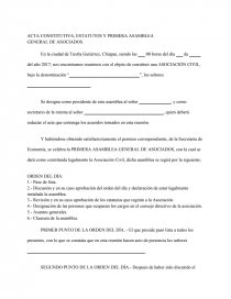 ACTA CONSTITUTIVA, ESTATUTOS Y PRIMERA ASAMBLEA. Página 1