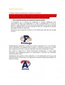 Primeros Auxilios tema