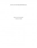 Informe escrito sobre ergonomía y violencia en el empleo