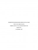 Como es que se da la Formulación y evaluación de proyectos