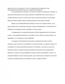 PRACTICAS EN LA CRIANZA Y EN EL CUIDADO DE LOS HIJOS EN UNA COMUNIDAD EN RIESGO PARA EL CONSUMO DE DROGAS. Página 1