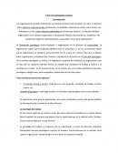 Final Psicopedagogía Laboral