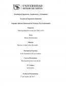 Segundo Informe Quincenal de Prácticas Pre Profesionales