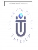 ELABORACION DE PRUEBAS