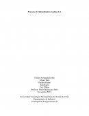 Ensayo sobre el Tipo de proyecto formato apa