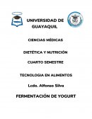 FERMENTACIÓN DE YOGURT