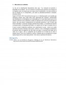 Informe Discusión de resultados