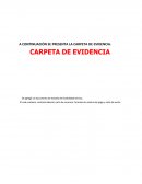 CARPETA DE EVIDENCIA El cual contiene, contrato laboral, carta de renuncia, formato de nómina de pago y nota de venta