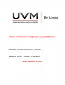 ESTRATEGIAS DE APRENDIZAJE Y HABILIDADES DIGITALES CON NIÑOS