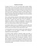 Arquitectura del sistema