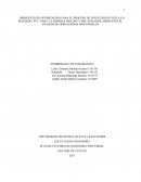 PROPUESTA DE OPTIMIZACION PARA EL PROCESO DE INYECCION DE SUELA EN MATERIAL PVC ´PARA LA EMPRESA MOLDES Y MECANIZADOS, MEDIANTES EL ANALISIS DE OPERACIONES INDUSTRIALES.