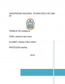 DISEÑO DE UNA ESTRUCTURA TIPO HOWE