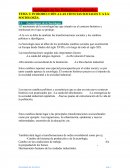 INTRODUCCIÓN A LAS CIENCIAS SOCIALES Y A LA SOCIOLOGÍA. Los orígenes de la Sociología.