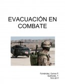 DESCRIPCIÓ DEL REPORTATGE