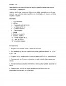 ESTABLECIMIENTO DE UNA PRADERA POLIFITICA PARA PASTOREO EN EL MUNICIPIO DE IXTLAHUACA