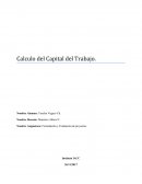 Formulación y evaluación de proyectos semana