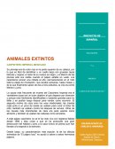 CARPINTERO IMPERIAL MEXICANO