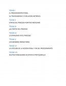 Ensayo derecho procesal penal