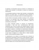 El diagnóstico de enfermedades autoinmunes depende de la identificación de síntomas clínicos asociados a la enfermedad y se asocia con la detección de autoanticuerpos