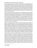 Descripción del país: contexto, datos básicos e indicadores