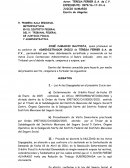 Alegatos Juicio Nulidad