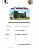 PRACTICAS PRE PROFESIONALES III