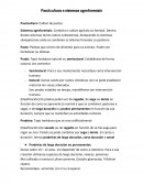 Pascicultura e sistemas agroforestais