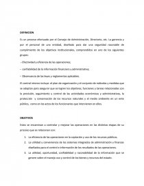 Control Gubernamental. IMPORTANCIA. Página 1