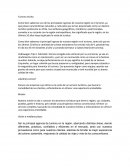 Turismo Vocho ¿Quiénes somos?