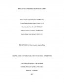 ENSAYO “LA INTERPRETACIÓN DE SUEÑOS”