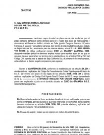 DIVORCIO VINCULAR POR CAUSAS OBJETIVAS. Página 1